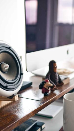 蜘蛛池 在的徽ahua seσ截图3