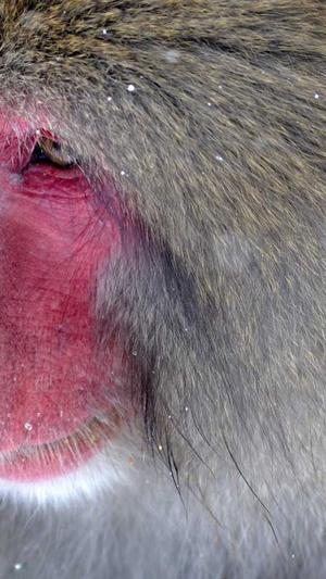 网站建设的论坛截图3