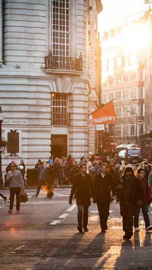 蜘蛛池下载源码截图3