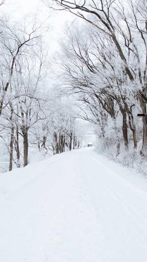 seo泛目录设置截图5