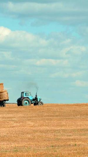 爱情岛站长工具seo综合查询截图2