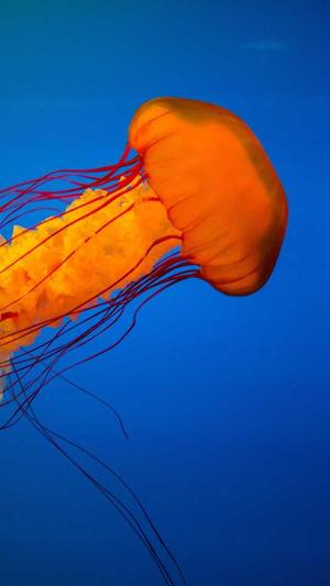 上海蜘蛛池出租包月截图2