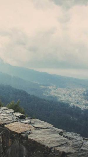 百度seo工具截图1