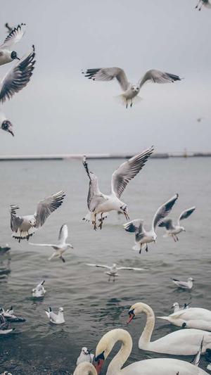 seo优化必备工具截图1