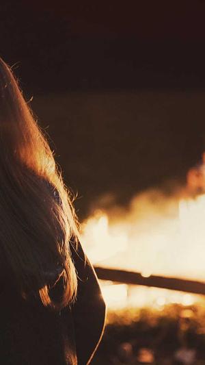 基础工具seo截图5