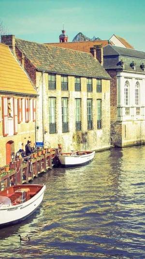 seo工具箱官方最新版截图3