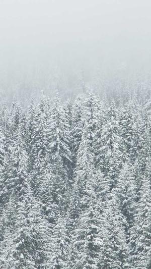 佛山顺德网站建设公司截图5