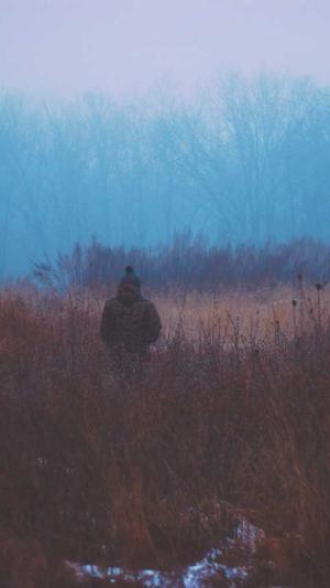 seo超级链接工具截图5