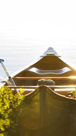 速卖通seo优化工具截图3