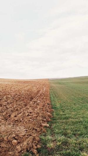 北京网站建设截图1