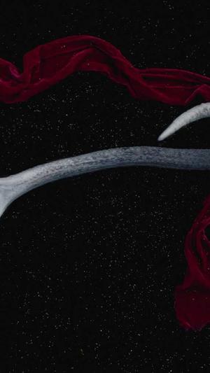 站内seo优化截图3