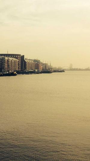 seo排名工具提升流量截图2