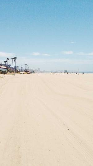 做蜘蛛池能赚钱吗截图1