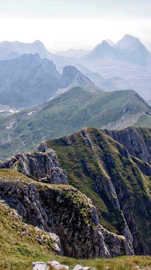 seo优化工具好用截图1