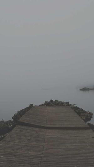 seo查询工具源码截图1