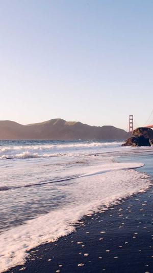 徐汇网站建设截图4