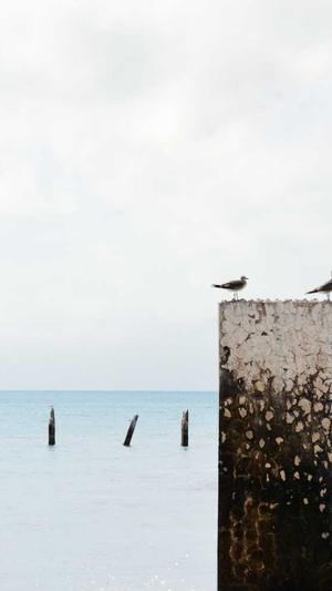 北京网站的建设公司截图1