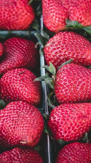 最新秒收蜘蛛池出租截图5