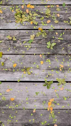 seo工具换链教程截图1