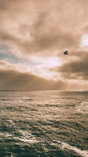 公司网站建设截图1