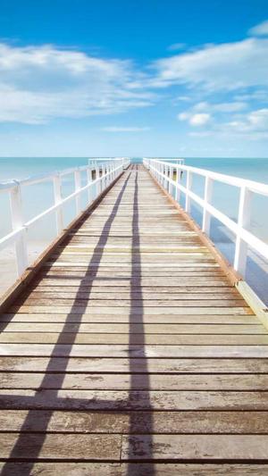 公司网站建设截图3