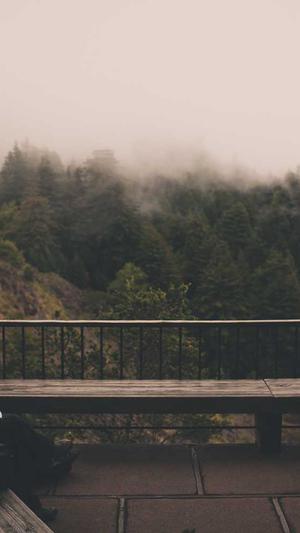 保定网站建设截图2