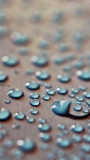 西安泛目录代做截图2