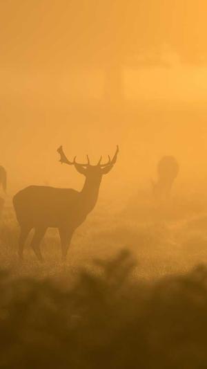 上海市网站建设截图4
