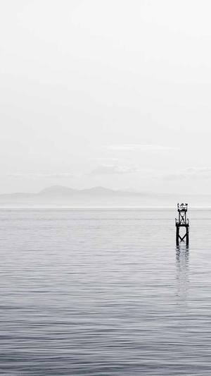 蜘蛛池的应用方法视频截图1