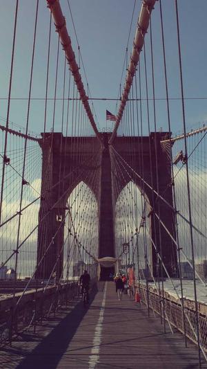 网站建设发布截图1