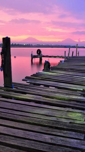 seo工具app优化截图4