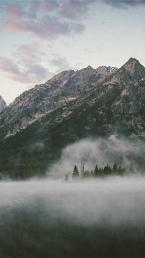 蜘蛛池外推原理截图3