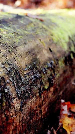 苏州网站建设截图3