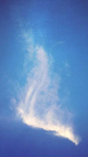 郑州网站seo优化工具截图2