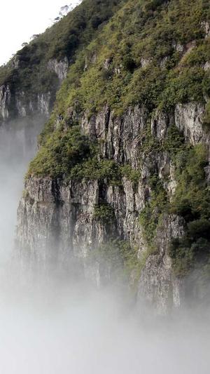 超级蜘蛛池有用么截图1