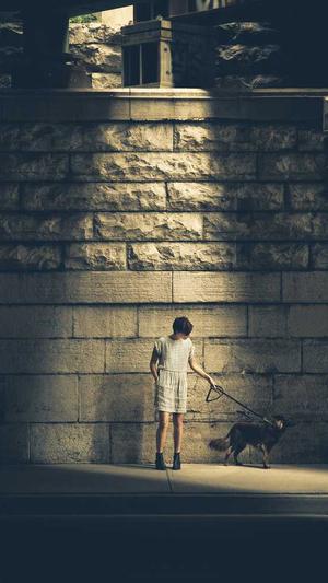 seo优化哪家好截图2